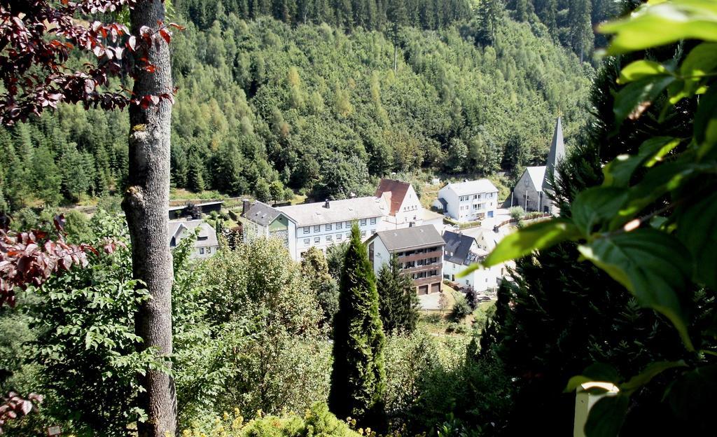 Gasthof Rodachtal Mit Gaestehaus Katharina Schwarzenbach am Wald Exterior foto
